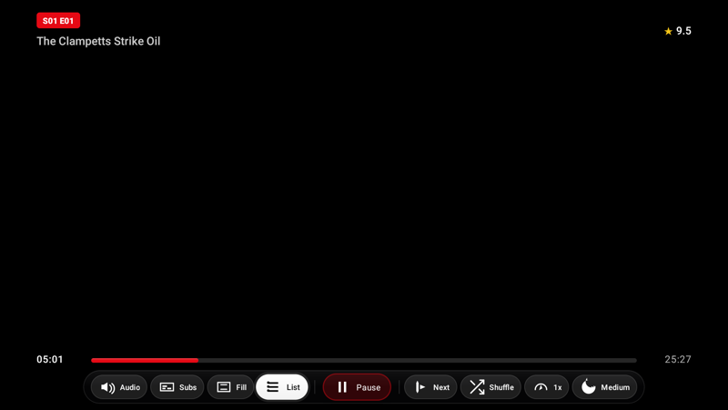 TV video player controls